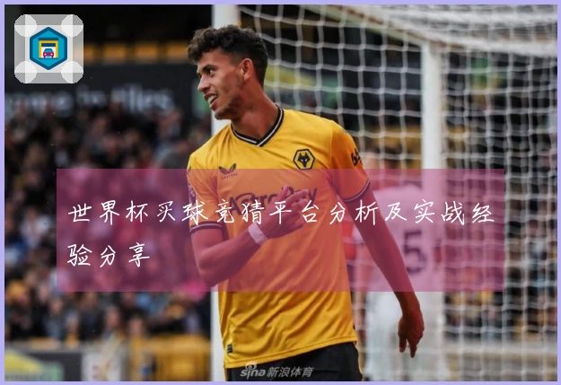 世界杯买球竞猜平台分析及实战经验分享