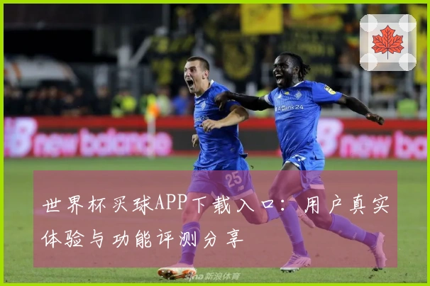 世界杯买球APP下载入口：用户真实体验与功能评测分享