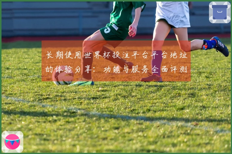 长期使用世界杯投注平台平台地址的体验分享：功能与服务全面评测