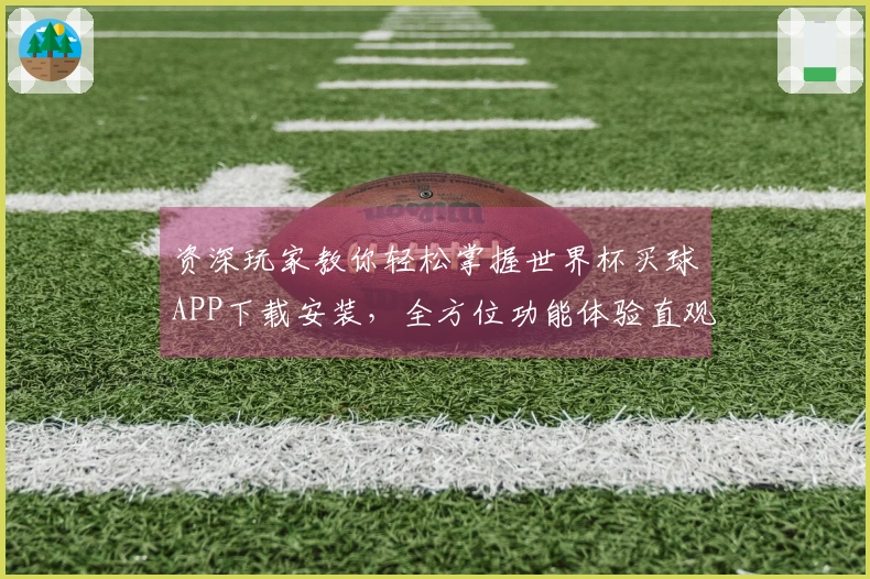 资深玩家教你轻松掌握世界杯买球APP下载安装，全方位功能体验直观呈现
