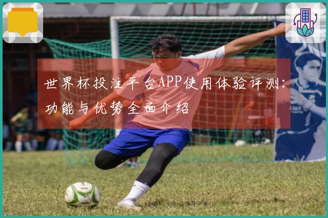 世界杯投注平台APP使用体验评测：功能与优势全面介绍