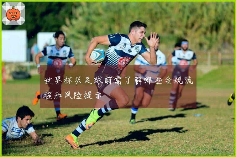 世界杯买足球前需了解哪些合规流程和风险提示