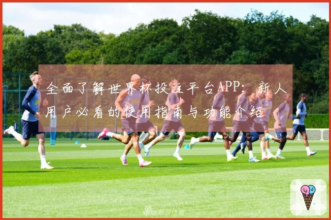 全面了解世界杯投注平台APP：新人用户必看的使用指南与功能介绍