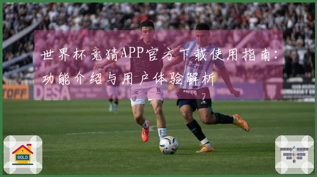世界杯竞猜APP官方下载使用指南：功能介绍与用户体验解析