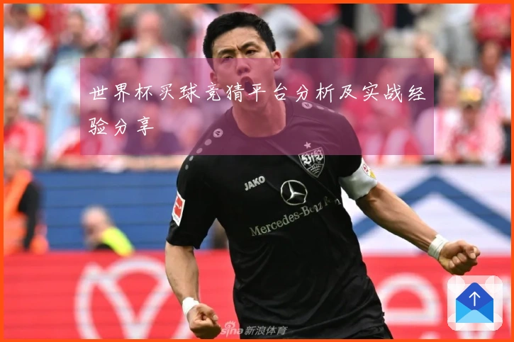 世界杯买球竞猜平台分析及实战经验分享