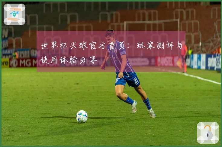 世界杯买球官方首页：玩家测评与使用体验分享