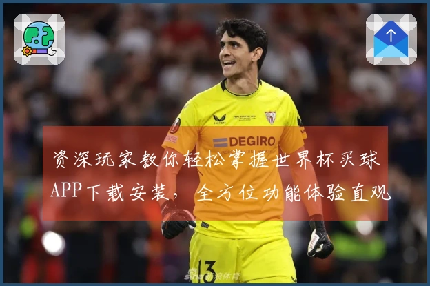 资深玩家教你轻松掌握世界杯买球APP下载安装，全方位功能体验直观呈现