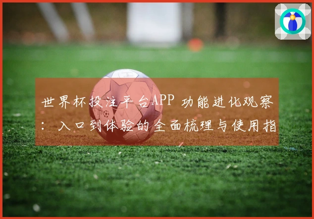 世界杯投注平台APP 功能进化观察：入口到体验的全面梳理与使用指南