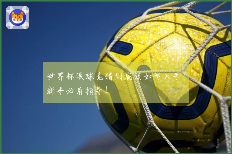世界杯滚球竞猜到底该如何入手？新手必看指导！