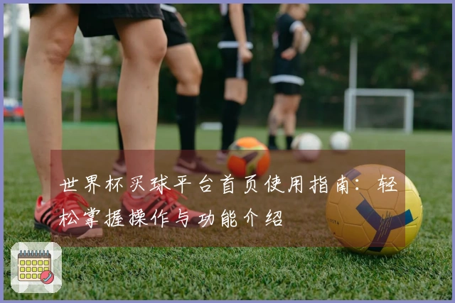 世界杯买球平台首页使用指南：轻松掌握操作与功能介绍