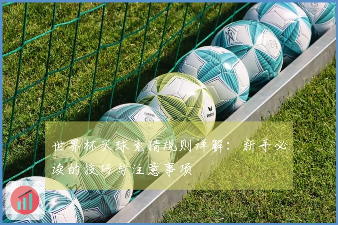 世界杯买球竞猜规则详解：新手必读的技巧与注意事项
